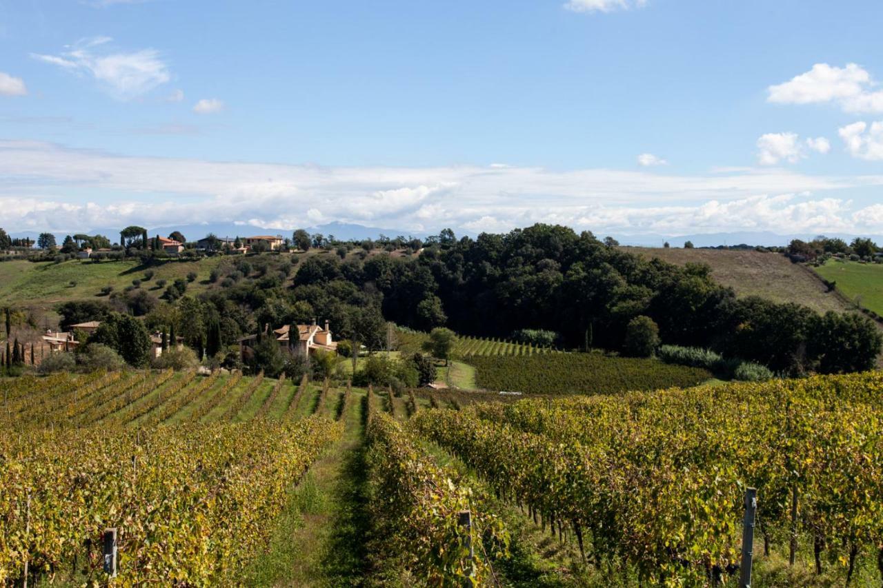 Bed and Breakfast Borgo del Gelso Olgiata Exterior foto